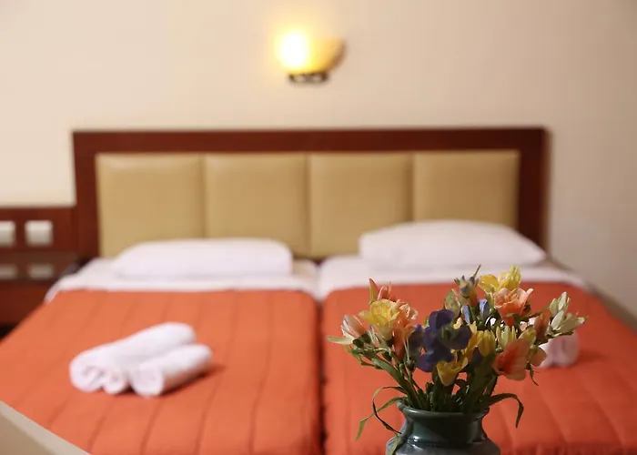 Zeus Hotel Afytos