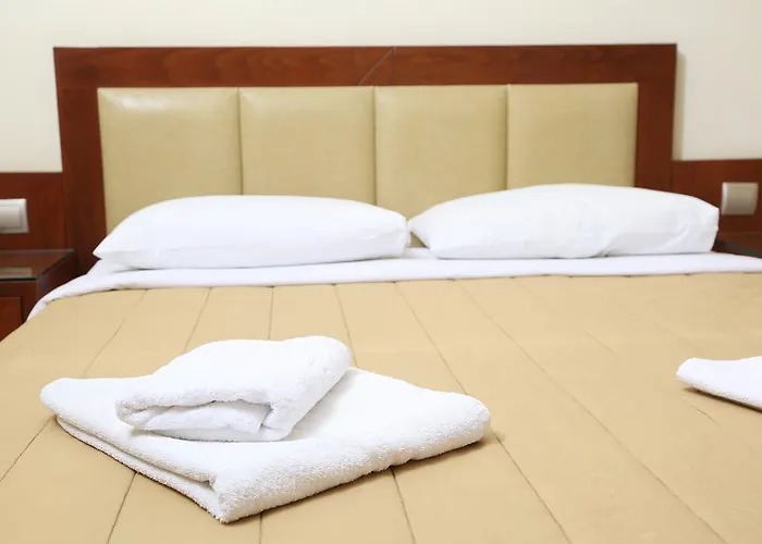 Zeus 酒店 阿菲托斯